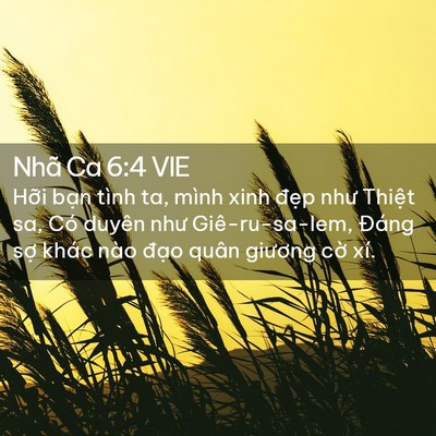 Picture 02 - Nhã Ca 6:4 VIE - Hỡi bạn tình ta, mình xinh đẹp như - Bible Verse Picture