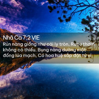 Picture 02 - Nhã Ca 7:2 VIE - Rún nàng giống như cái ly tròn, Rượu - Bible Verse Picture