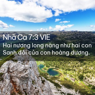 Picture 02 - Nhã Ca 7:3 VIE - Hai nương long nàng như hai con Sanh đôi - Bible Verse Picture