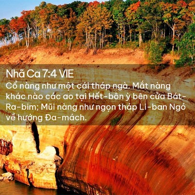 Picture 02 - Nhã Ca 7:4 VIE - Cổ nàng như một cái tháp ngà. Mắt - Bible Verse Picture