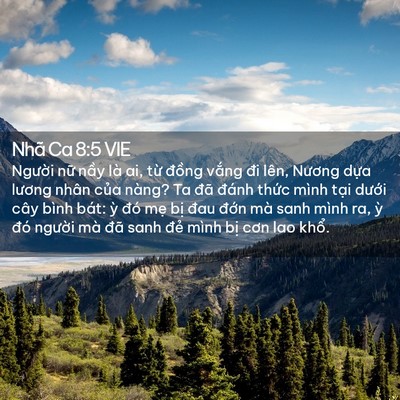 Picture 02 - Nhã Ca 8:5 VIE - Người nữ nầy là ai, từ đồng vắng - Bible Verse Picture