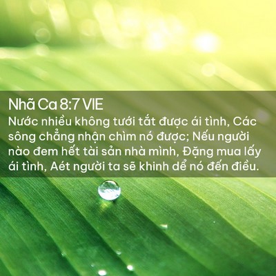 Picture 02 - Nhã Ca 8:7 VIE - Nước nhiều không tưới tắt được ái - Bible Verse Picture