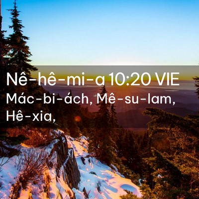 Picture 02 - Nê-hê-mi-a 10:20 VIE - Mác-bi-ách, Mê-su-lam, - Bible Verse Picture