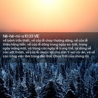 Picture 02 - Nê-hê-mi-a 10:33 VIE - về bánh trần thiết, về của lễ chay - Bible Verse Picture