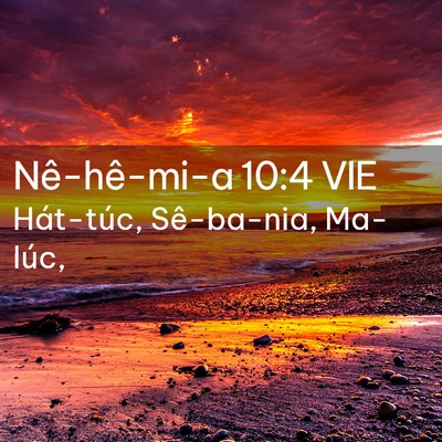 Picture 02 - Nê-hê-mi-a 10:4 VIE - Hát-túc, Sê-ba-nia, - Bible Verse Picture