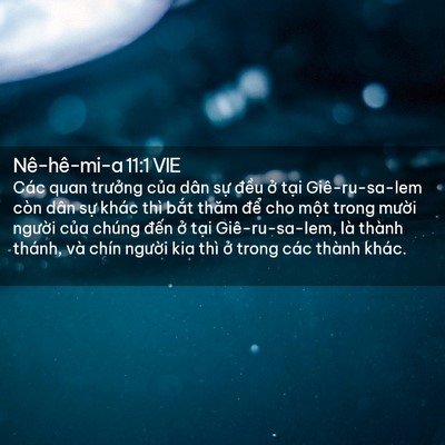 Picture 02 - Nê-hê-mi-a 11:1 VIE - Các quan trưởng của dân sự đều ở - Bible Verse Picture