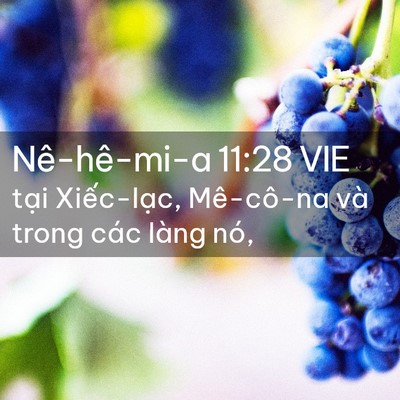 Picture 02 - Nê-hê-mi-a 11:28 VIE - tại Xiếc-lạc, Mê-cô-na và trong các - Bible Verse Picture