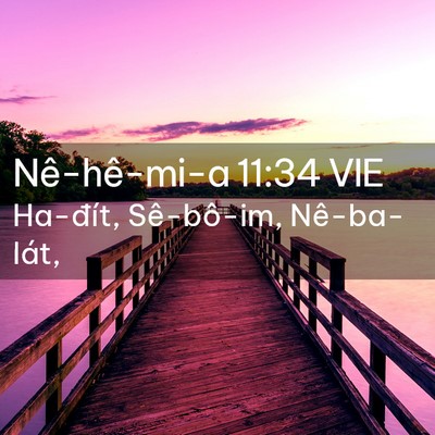 Picture 02 - Nê-hê-mi-a 11:34 VIE - Ha-đít, Sê-bô-im, - Bible Verse Picture