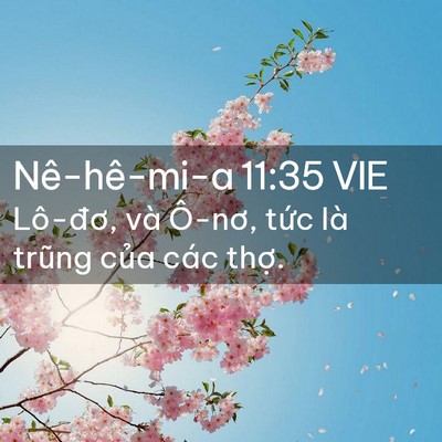 Picture 02 - Nê-hê-mi-a 11:35 VIE - Lô-đơ, và Ô-nơ, tức là trũng của các - Bible Verse Picture