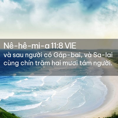 Picture 02 - Nê-hê-mi-a 11:8 VIE - và sau người có Gáp-bai, và Sa-lai cùng - Bible Verse Picture