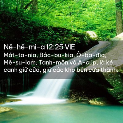 Picture 02 - Nê-hê-mi-a 12:25 VIE - Mát-ta-nia, Bác-bu-kia, Ô-ba-đia, Mê-su-lam, - Bible Verse Picture