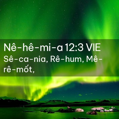 Picture 02 - Nê-hê-mi-a 12:3 VIE - Sê-ca-nia, Rê-hum, - Bible Verse Picture