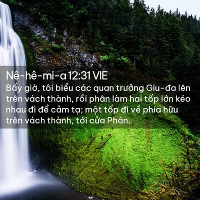 Picture 02 - Nê-hê-mi-a 12:31 VIE - Bấy giờ, tôi biểu các quan trưởng - Bible Verse Picture