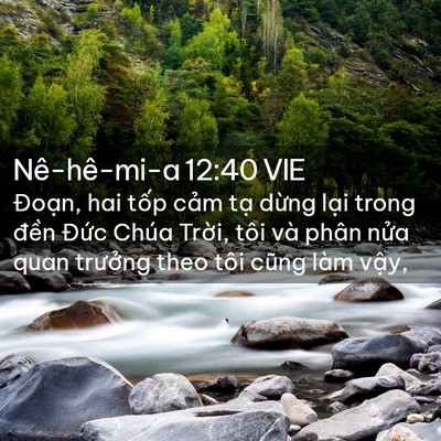 Picture 02 - Nê-hê-mi-a 12:40 VIE - Đoạn, hai tốp cảm tạ dừng lại trong - Bible Verse Picture
