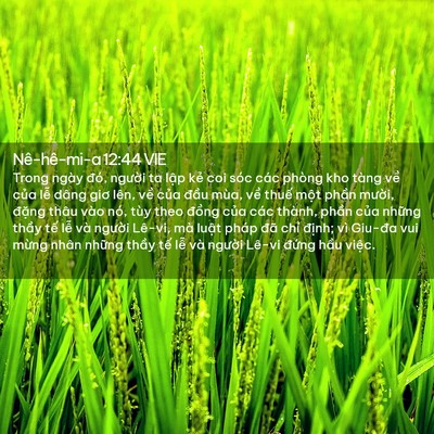 Picture 02 - Nê-hê-mi-a 12:44 VIE - Trong ngày đó, người ta lập kẻ coi sóc - Bible Verse Picture