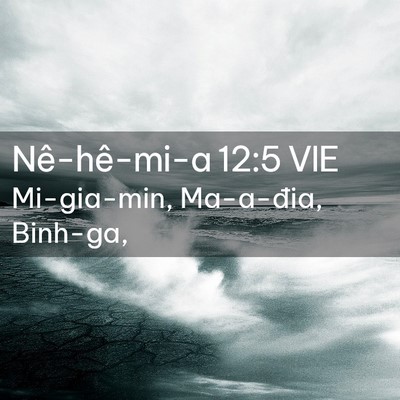 Picture 02 - Nê-hê-mi-a 12:5 VIE - Mi-gia-min, Ma-a-đia, - Bible Verse Picture