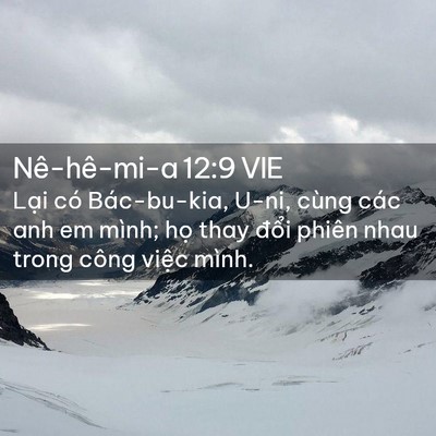 Picture 02 - Nê-hê-mi-a 12:9 VIE - Lại có Bác-bu-kia, U-ni, cùng các anh em - Bible Verse Picture