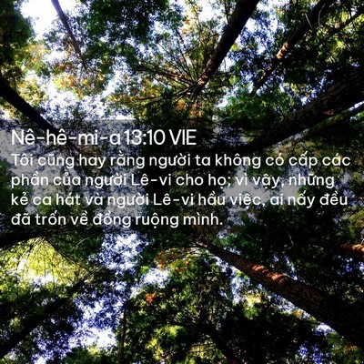 Picture 02 - Nê-hê-mi-a 13:10 VIE - Tôi cũng hay rằng người ta không có - Bible Verse Picture