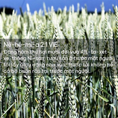 Picture 02 - Nê-hê-mi-a 2:1 VIE - Đang năm thứ hai mươi đời vua - Bible Verse Picture