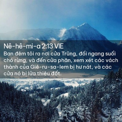 Picture 02 - Nê-hê-mi-a 2:13 VIE - Ban đêm tôi ra nơi cửa Trũng, đối ngang - Bible Verse Picture