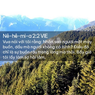 Picture 02 - Nê-hê-mi-a 2:2 VIE - Vua nói với tôi rằng: Nhân sao ngươi - Bible Verse Picture