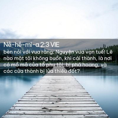 Picture 02 - Nê-hê-mi-a 2:3 VIE - bèn nói với vua rằng: Nguyện vua vạn - Bible Verse Picture