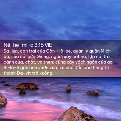 Picture 02 - Nê-hê-mi-a 3:15 VIE - Sa-lun, con trai của Côn-Hô-xe, quản lý - Bible Verse Picture