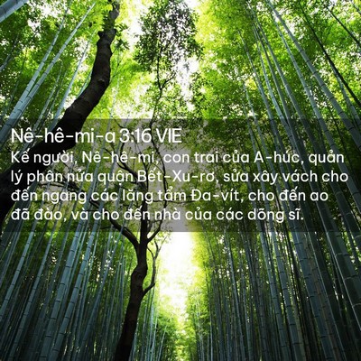 Picture 02 - Nê-hê-mi-a 3:16 VIE - Kế người, Nê-hê-mi, con trai của A-húc, - Bible Verse Picture
