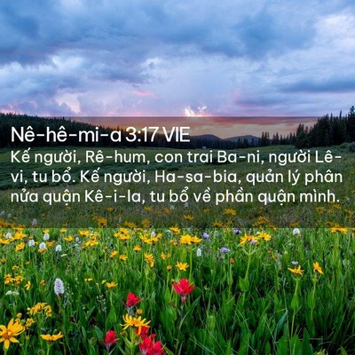 Picture 02 - Nê-hê-mi-a 3:17 VIE - Kế người, Rê-hum, con trai Ba-ni, người - Bible Verse Picture