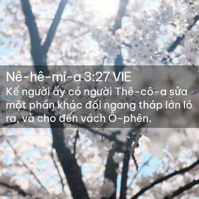Picture 02 - Nê-hê-mi-a 3:27 VIE - Kế người ấy có người Thê-cô-a sửa - Bible Verse Picture