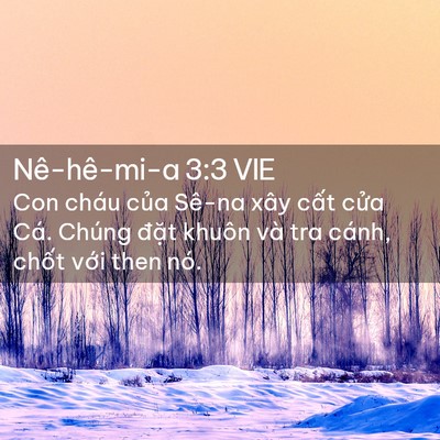 Picture 02 - Nê-hê-mi-a 3:3 VIE - Con cháu của Sê-na xây cất cửa Cá. - Bible Verse Picture