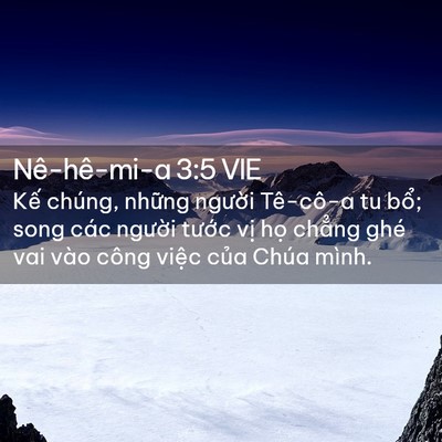 Picture 02 - Nê-hê-mi-a 3:5 VIE - Kế chúng, những người Tê-cô-a tu bổ; - Bible Verse Picture