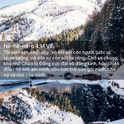 Picture 02 - Nê-hê-mi-a 4:14 VIE - Tôi xem xét, chổi dậy, và nói với các - Bible Verse Picture