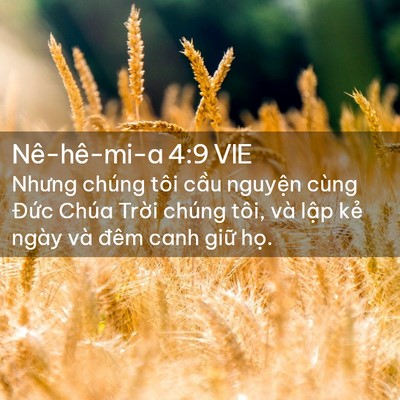 Picture 02 - Nê-hê-mi-a 4:9 VIE - Nhưng chúng tôi cầu nguyện cùng Đức - Bible Verse Picture