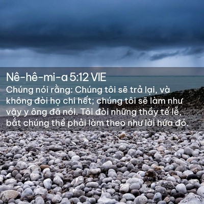 Picture 02 - Nê-hê-mi-a 5:12 VIE - Chúng nói rằng: Chúng tôi sẽ trả lại, - Bible Verse Picture