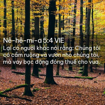 Picture 02 - Nê-hê-mi-a 5:4 VIE - Lại có người khác nói rằng: Chúng tôi - Bible Verse Picture