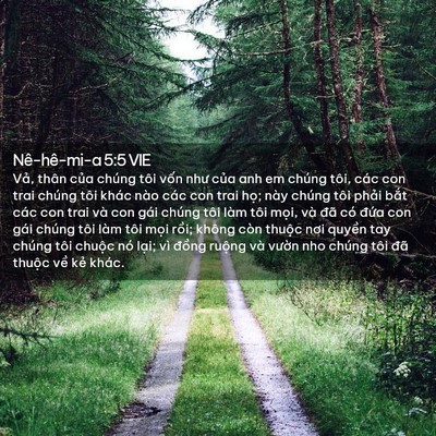 Picture 02 - Nê-hê-mi-a 5:5 VIE - Vả, thân của chúng tôi vốn như của - Bible Verse Picture
