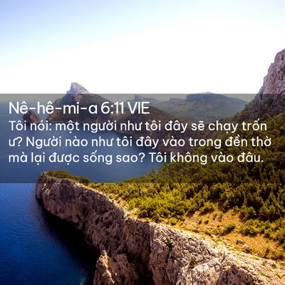 Picture 02 - Nê-hê-mi-a 6:11 VIE - Tôi nói: một người như tôi đây sẽ - Bible Verse Picture