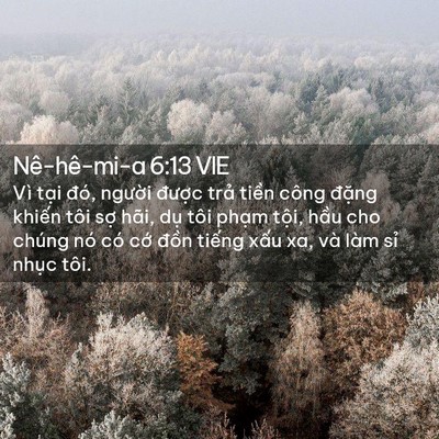 Picture 02 - Nê-hê-mi-a 6:13 VIE - Vì tại đó, người được trả tiền - Bible Verse Picture