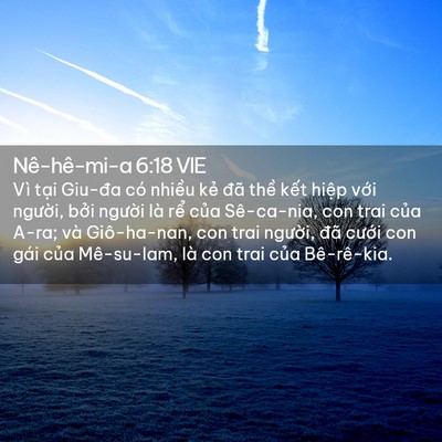 Picture 02 - Nê-hê-mi-a 6:18 VIE - Vì tại Giu-đa có nhiều kẻ đã thề - Bible Verse Picture