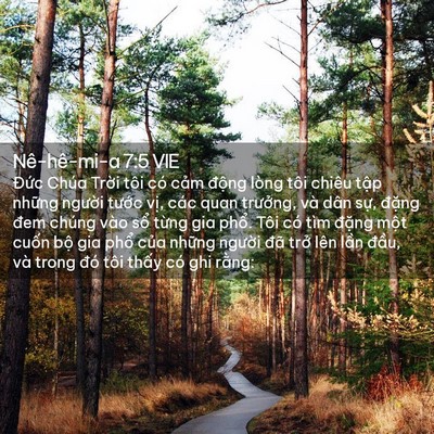 Picture 02 - Nê-hê-mi-a 7:5 VIE - Đức Chúa Trời tôi có cảm động lòng - Bible Verse Picture