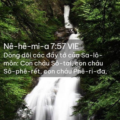 Picture 02 - Nê-hê-mi-a 7:57 VIE - Dòng dõi các đầy tớ của Sa-lô-môn: - Bible Verse Picture