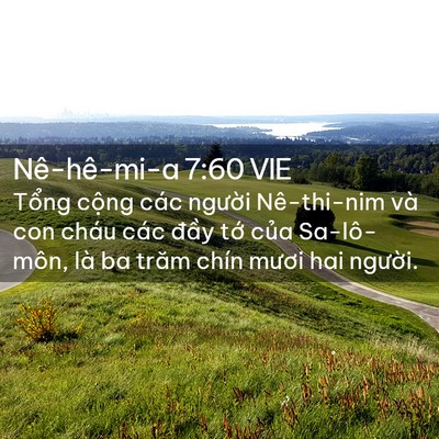 Picture 02 - Nê-hê-mi-a 7:60 VIE - Tổng cộng các người Nê-thi-nim và con - Bible Verse Picture