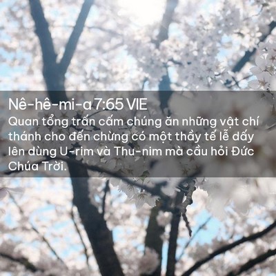 Picture 02 - Nê-hê-mi-a 7:65 VIE - Quan tổng trấn cấm chúng ăn những vật - Bible Verse Picture