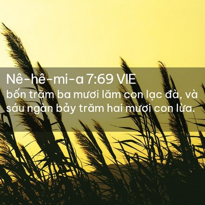 Picture 02 - Nê-hê-mi-a 7:69 VIE - bốn trăm ba mươi lăm con lạc đà, và - Bible Verse Picture