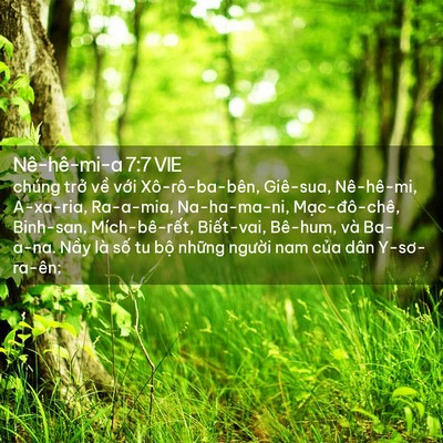 Picture 02 - Nê-hê-mi-a 7:7 VIE - chúng trở về với Xô-rô-ba-bên, - Bible Verse Picture