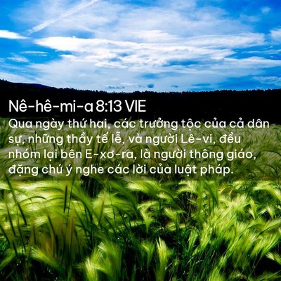 Picture 02 - Nê-hê-mi-a 8:13 VIE - Qua ngày thứ hai, các trưởng tộc của - Bible Verse Picture