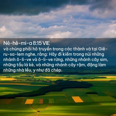 Picture 02 - Nê-hê-mi-a 8:15 VIE - và chúng phải hô truyền trong các thành - Bible Verse Picture