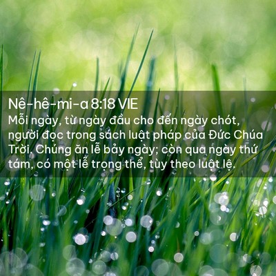 Picture 02 - Nê-hê-mi-a 8:18 VIE - Mỗi ngày, từ ngày đầu cho đến ngày - Bible Verse Picture