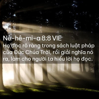 Picture 02 - Nê-hê-mi-a 8:8 VIE - Họ đọc rõ ràng trong sách luật pháp - Bible Verse Picture
